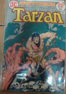 Tarzan #224 Joe Kubert Cover Story & Art