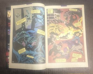 Argus #2 ( 7.5 VFN- )  Phil Hester Cover / 1995