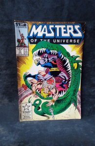 Masters of the Universe #11 Direct Edition