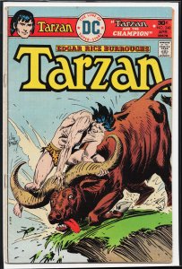 Edgar Rice Burroughs' Tarzan #248 (1976)