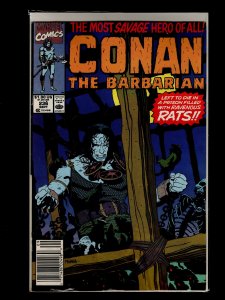 Conan the Barbarian #231,232,233,234,235,236,237,243,244,245 (1990)