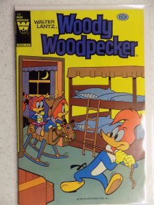 Walter Lantz Woody Woodpecker #197 