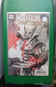Wolverine: Black, White & Blood #2 (2021)