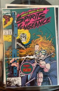 Ghost Rider/Blaze: Spirits of Vengeance #2 (1992)  