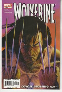 Wolverine #7 Direct Edition (2004)