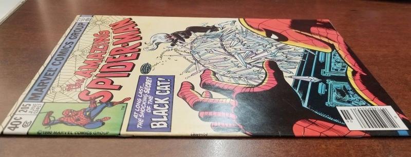 The Amazing Spider-Man #205, Marvel, Black Cat-VF/NM