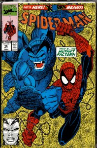 Spider-Man #15 (1991) Spider-Man