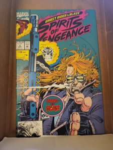Ghost Rider/Blaze: Spirits of Vengeance #2 (1992)