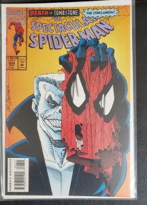 The Spectacular Spider-Man #206