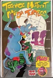 Teenage Mutant Ninja Turtles #38 (1991, Mirage) NM+