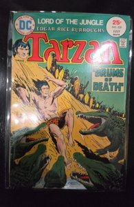 Edgar Rice Burroughs' Tarzan #239 (1975)