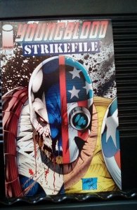 Youngblood Strikefile #2 (1993)
