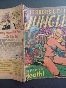 Terrors of The Jungle #21 -Bondage cover LB Cole - Star Publications - 1953 - FR