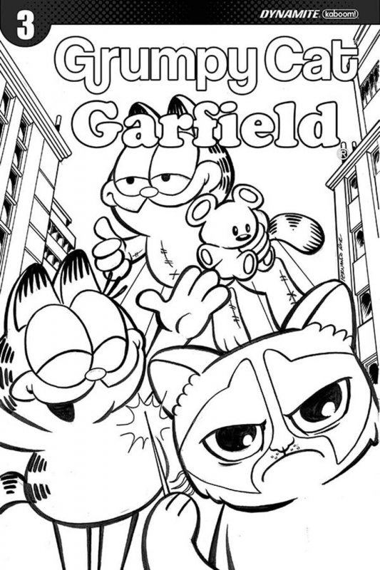 GRUMPY CAT GARFIELD #1 -3 COMPLETE SERIES OF 24 COVERS INCLUDING SIGNED COVER.