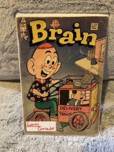 The Brain #10