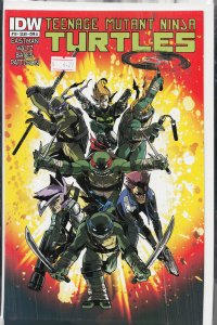 Teenage Mutant Ninja Turtles #19 (2013)