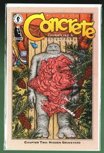 Concrete: Think Like a Mountain #2 (1996)