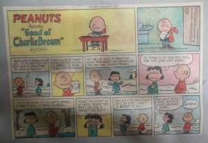 (52) Peanuts Sunday Pages by Charles Schulz from 1971 Size: ~11 x 15 inches CY
