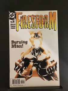Firestorm #2 (2004)