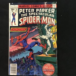 The Spectacular Spider-Man #10 (1977)