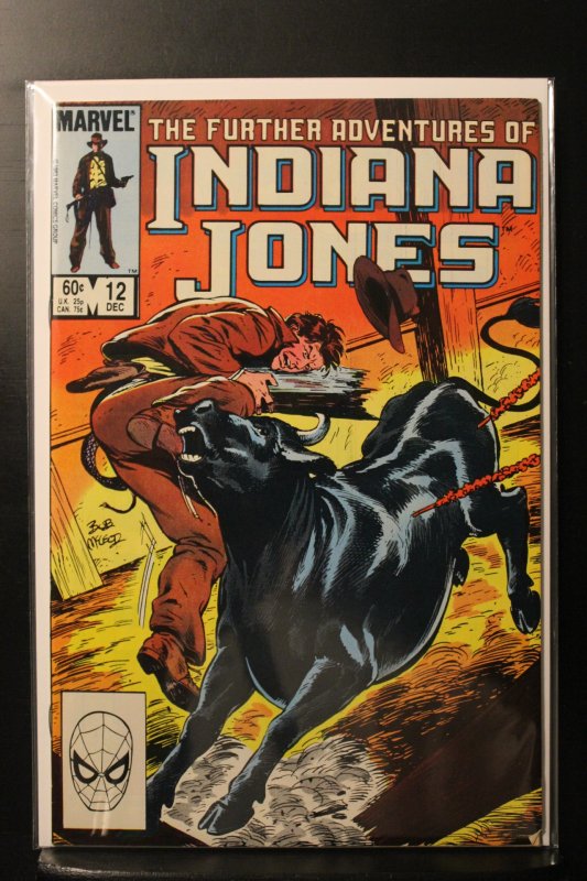 The Further Adventures of Indiana Jones #12 Direct Edition (1983)