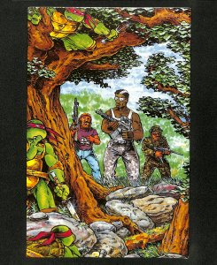 Teenage Mutant Ninja Turtles #12