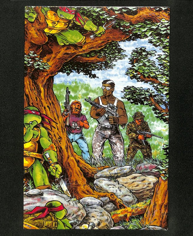 Teenage Mutant Ninja Turtles #12