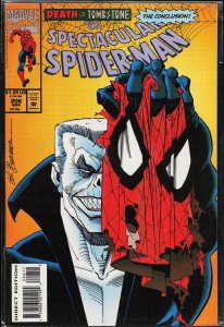 The Spectacular Spider-Man #206 (1993) Spider-Man