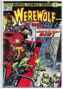 Werewolf By Night #21 | MVS Intact (Marvel)