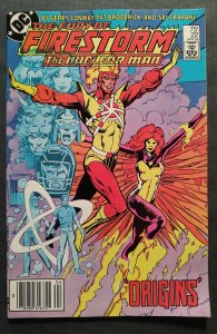 The Fury of Firestorm #22 (1984)