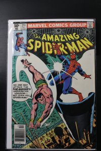 The Amazing Spider-Man #211 Newsstand Edition (1980)