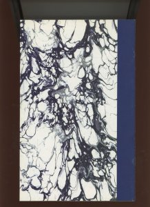 (1991) Turtle Soup #1: COPPER AGE! MICHAEL DOONEY COVER ART! (9.0/9.2)