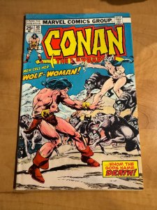 Conan the Barbarian #49 (1975)