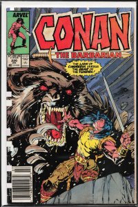 Conan the Barbarian #220 (1989) Conan
