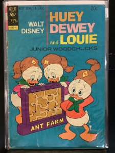 Huey, Dewey and Louie Junior Woodchucks #25 (1974)