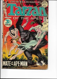 Edgar Rice Burroughs' Tarzan #209 (1972)