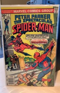 Peter Parker, The Spectacular Spider-Man (1976) 8.0 VF