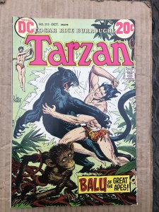 Tarzan #213 (1972)