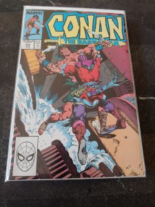 Conan the Barbarian #215 (1989)