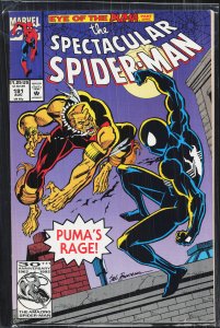 The Spectacular Spider-Man #191 (1992) Spider-Man