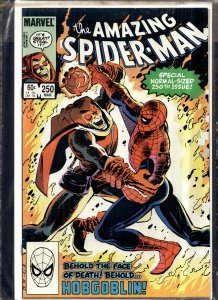 The Amazing Spider-Man #250 (1984) Spider-Man