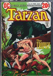Edgar Rice Burroughs' Tarzan #218 (1973)