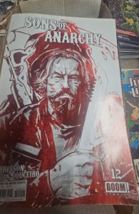 Sons of Anarchy #12 (2014)
