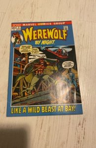 Werewolf by Night #2 (1972)Like a wild beast at bay - VF