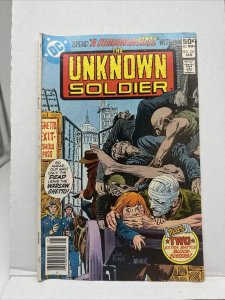 The Unknown Soldier (Issue 247)