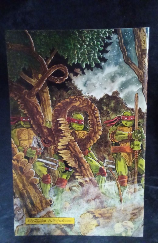 Teenage Mutant Ninja Turtles #37 (1991)