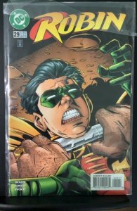 Robin #29 (1996)