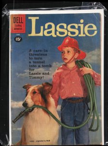 Lassie #53