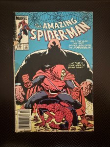 The Amazing Spider-Man #249 (1984)