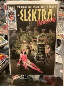 Elektra: Assassin #3 (1986)